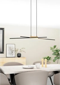 Eglo 900489 - LED Stmievateľný luster na lanku PANAGRIA 2xLED/13W/230V
