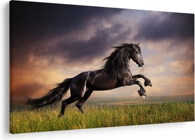 Obraz - Kone (90x60 cm)