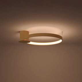Stropné LED svietidlo Rio 55, 1x LED 30w, 3000k, g