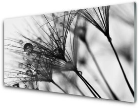 Nástenný panel  Abstrakcie rastlina 100x50 cm