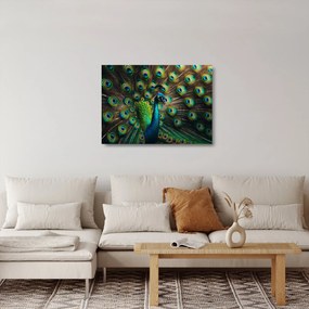 Sklenený obraz – Páv (70x50 cm)