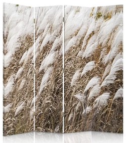 Gario Paraván Pampová tráva Rozmery: 145 x 170 cm, Prevedenie: Klasický paraván