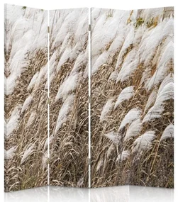 Gario Paraván Pampová tráva Rozmery: 145 x 170 cm, Prevedenie: Klasický paraván