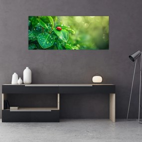 Obraz - Lienka (120x50 cm)