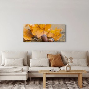 Obraz - Jesenné žalude (120x50 cm)
