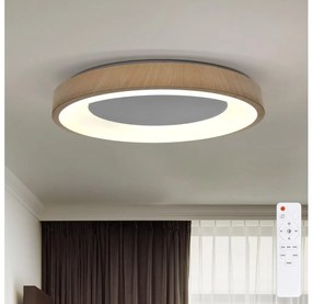 Brilagi - stmievateľné LED svietidlo DORIA LED/60W/230V 3000-6500K priemer 60 cm + diaľkové ovládanie