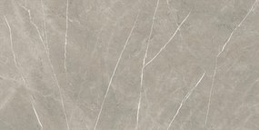 Dlažba Eternal Taupe Natural 80x160 R