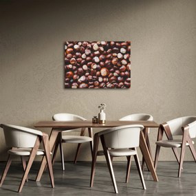Obraz - Zrelé gaštany (70x50 cm)