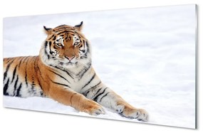 Nástenný panel  Tiger winter 100x50 cm