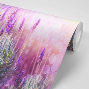Samolepiaca fototapeta kúzelné kvety levandule - 150x100