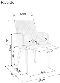 Sivá stolička RICARDO VELVET