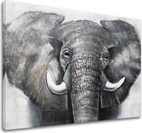 Obraz na plátne SLON 1 dielny XOBCHAN021