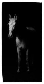 Sablio Uterák Kôň v tieni - 70x140 cm