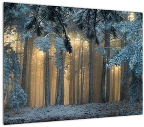Sklenený obraz zasneženého lesa (70x50 cm)
