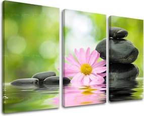 Obraz na stenu 3 dielny FENG SHUI FS009E30