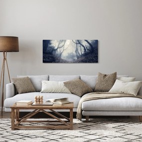 Obraz - Les v hmle (120x50 cm)