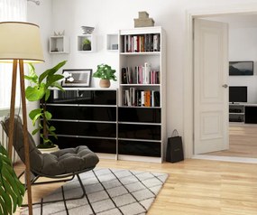 Regál R60 3SZ 2P CLP biely / čierny lesk