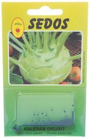 Bestent Kaleráb neskorý 150 semien