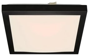 Briloner 3502-015 - LED Stropné svietidlo FLEDO LED/12W/230V