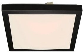 Briloner Briloner 3502-015 - LED Stropné svietidlo FLEDO LED/12W/230V BL1422