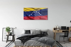 Obraz plexi Vlajka venezuely 125x50 cm