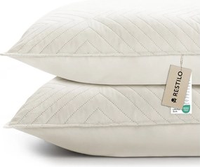 Obliečky na vankúše v súprave 2 ks z mikrovlákna 45x45 cm Softa – Restilo