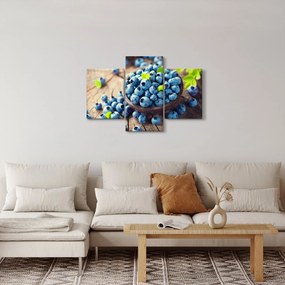 Obraz - Čučoriedky (90x60 cm)