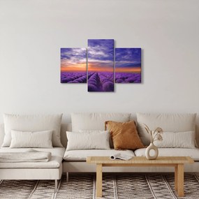 Obraz levanduľového pole (90x60 cm)