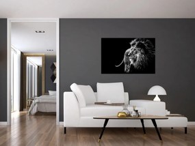 Obraz - Lev, čiernobiela (90x60 cm)