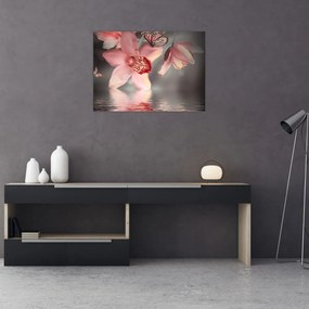 Sklenený obraz - Kvety a motýľ (70x50 cm)