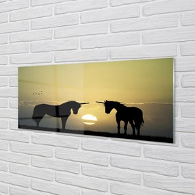 Obraz na akrylátovom skle Poľné sunset jednorožce 120x60 cm