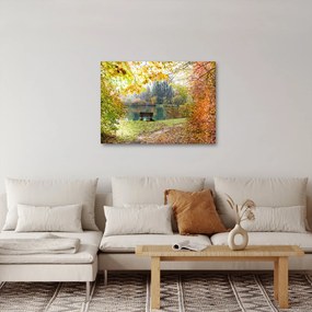 Obraz rybníka (70x50 cm)