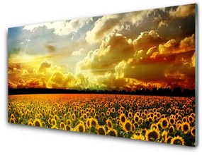 Skleneny obraz Pole slnečníc krajina 120x60 cm