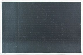 Čierna rohožka s kvetmi a ovocím Liliana - 75 * 50 * 1cm