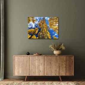 Obraz - Aspen (70x50 cm)