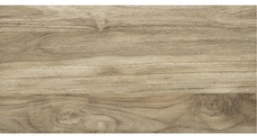 Dlažba Outlander Brown 30/60