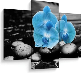 Obraz - Modrá orchidea (90x60 cm)