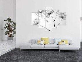 Čiernobiely obraz - páperie