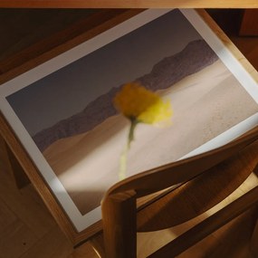 The Poster Club Plagát Desert Mirage by Nicole Mason 40x50 cm