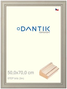DANTIK rám na obraz 50x70 | STEP bílá (Plexi Čiré)