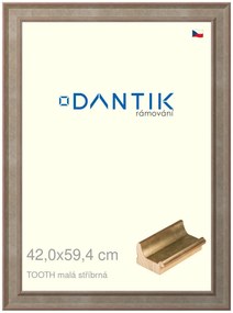 DANTIK rám na obraz 42x59,4 | TOOTH malá stříbrná (Plexi Čiré)