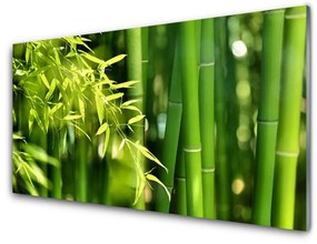 Sklenený obklad Do kuchyne Bambus listy rastlina 120x60 cm
