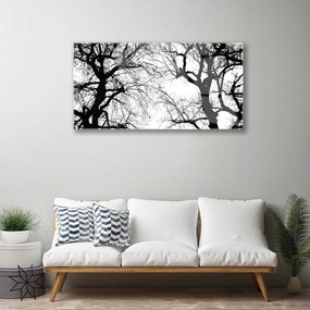 Obraz plexi Stromy príroda čiernobiely 100x50 cm