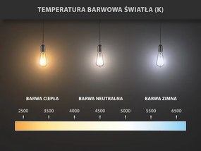 Mexen Vintis, LED filamentová žiarovka E27, A60, 10 W, neutrálna biela 4000K, číra, L150-E27-1040-00