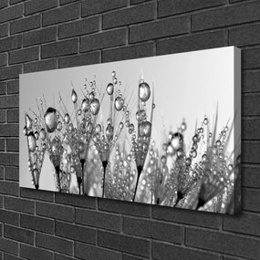 Obraz Canvas Abstrakcie rastlina príroda 125x50 cm