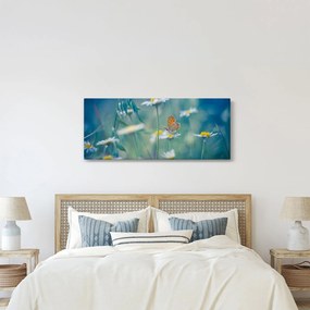 Obraz - Motýľ na sedmokráske (120x50 cm)