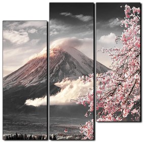 Obraz na plátne - Hora Fuji a čerešňové kvety na jar - štvorec 3266QD (105x105 cm)