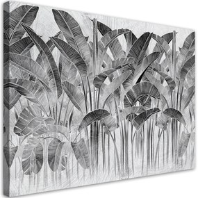 Obraz na plátně, Šedé banánové listy - 120x80 cm