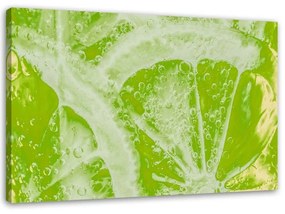 Obraz na plátně Vápno v zelené barvě - 90x60 cm