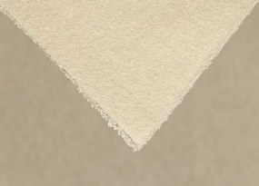 Koberce Breno Metrážny koberec REVOLUTION SUPREME 91, šíře role 400 cm, béžová